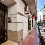 Alegria Id50 Торевьиа